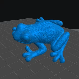 3D-Scan Frosch blaues Mesh